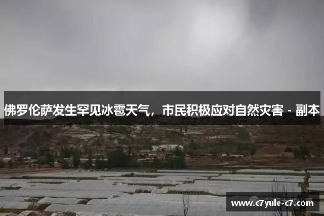 佛罗伦萨发生罕见冰雹天气，市民积极应对自然灾害 - 副本