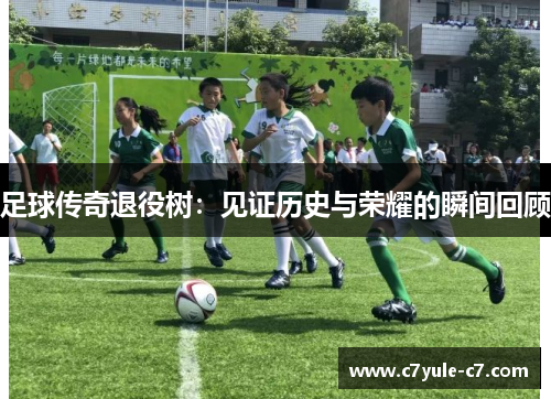 足球传奇退役树：见证历史与荣耀的瞬间回顾